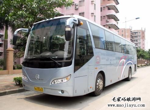 55座旅游大巴出租
